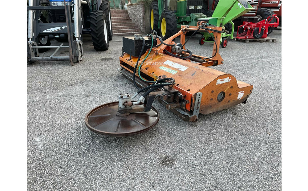 Agrimaster Trinciasarmenti con disco interfilare Gebraucht - 2