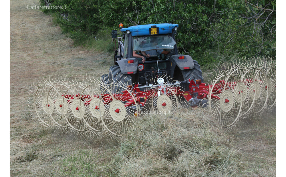 Enorossi BATRAKE 10 Ranghinatore Stellare Trainato con andana centrale - 9