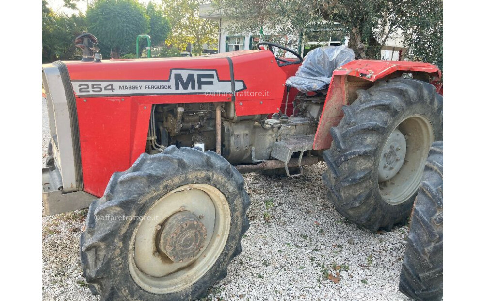 Massey Ferguson 254 Usato - 5