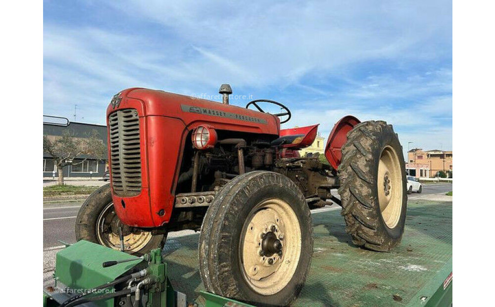 Massey Ferguson MF 35 Gebraucht - 2