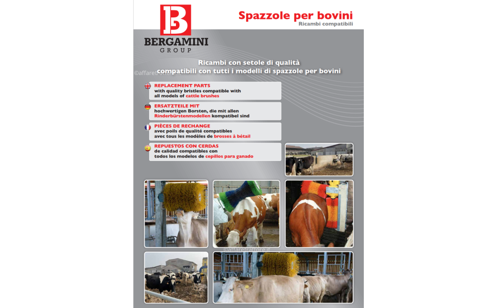 SPAZZOLE FISSE PER BOVINI COMPATIBILI EUROFARM E TEXAS IN LEGNO O PLASTICA - 2