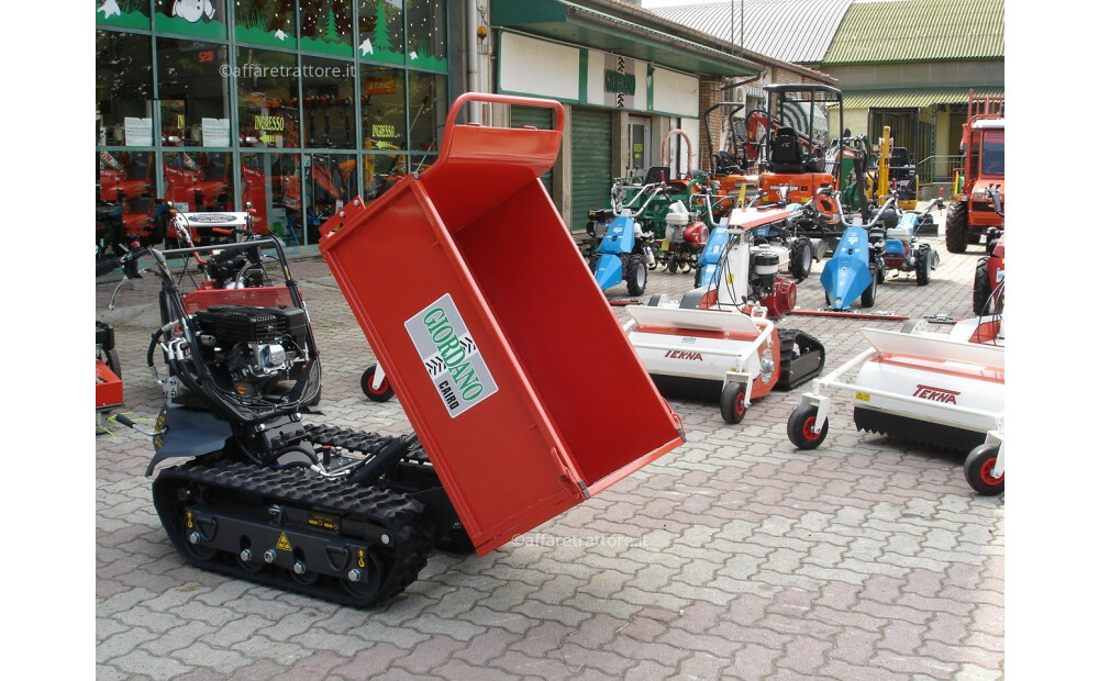 Motocarriola Cingolata GIOR 600 Zanetti Dumper Nuovo - 7