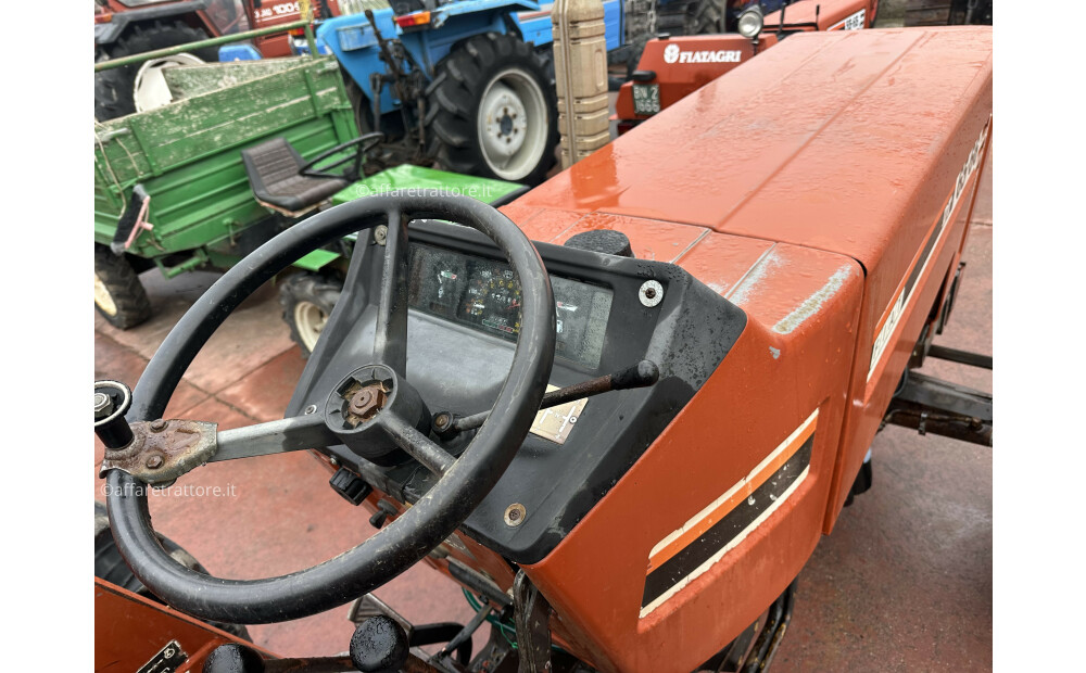 Fiat - Fiatagri 65-66 Gebraucht - 4