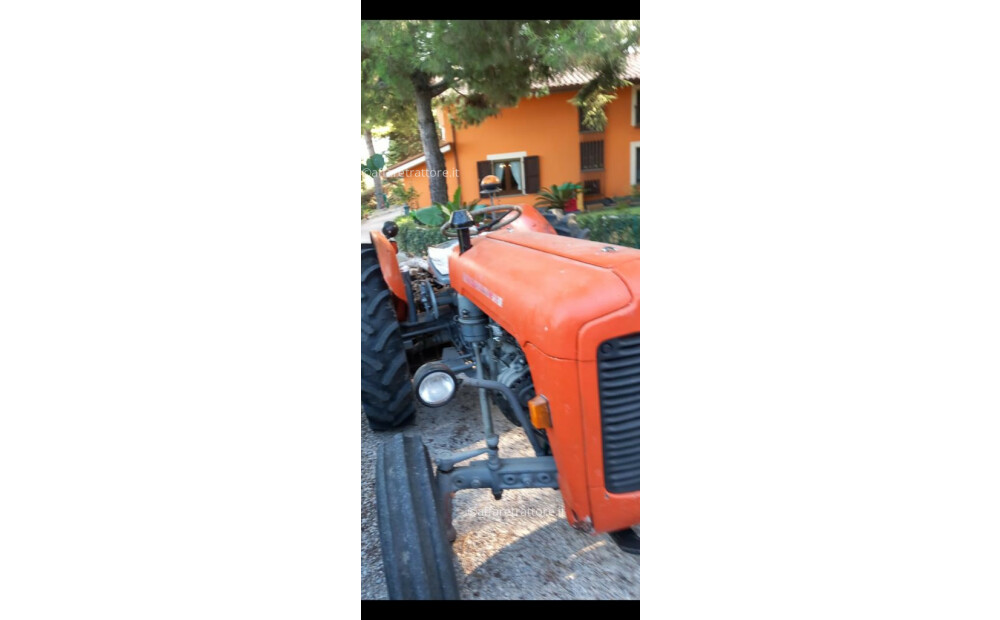 Massey Ferguson 135 Neu - 1