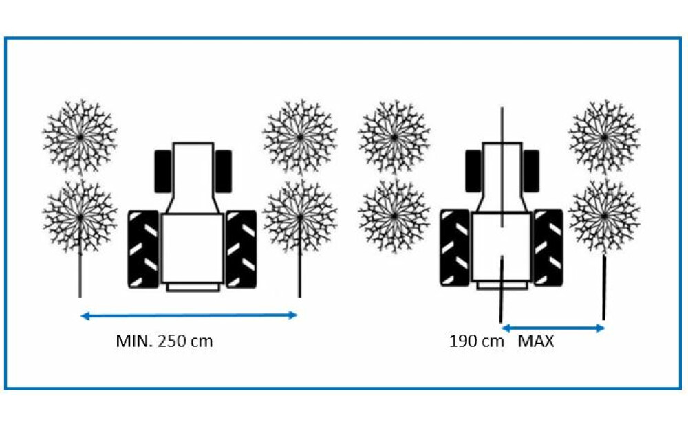 Spedo Marte Serie Neu - 2