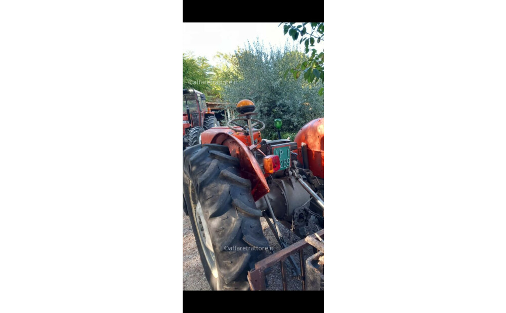 Massey Ferguson 135 Neu - 3