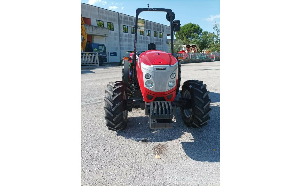 Mc Cormick X4 . 110 XL REX Nuovo - 8