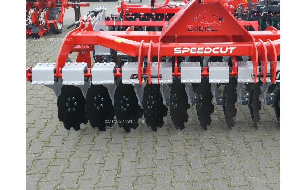 AgroAlex Italia 300 Z Nuovo - 1