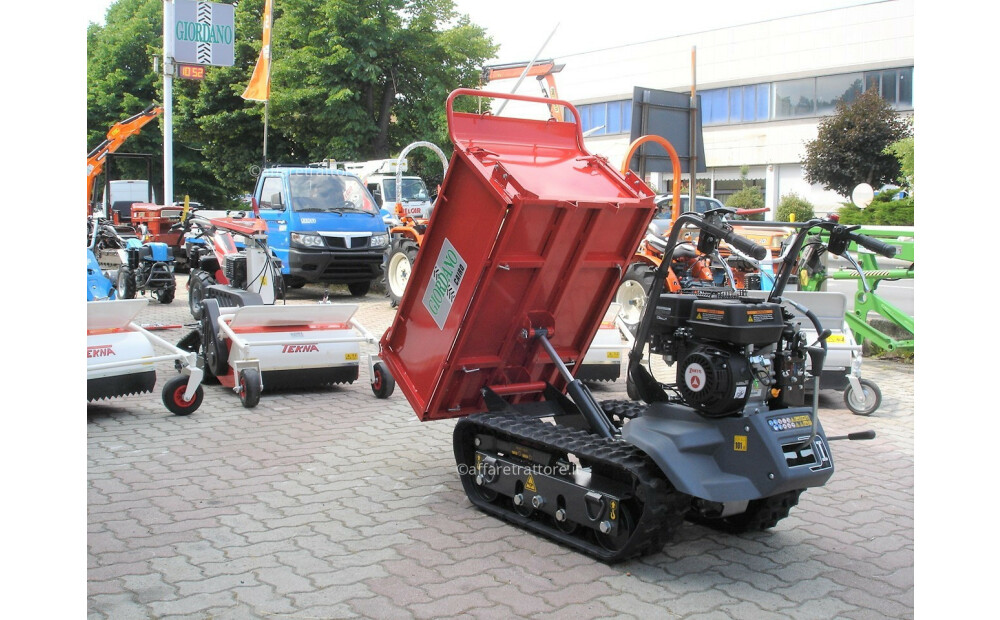 Motocarriola Cingolata GIOR 600 Zanetti Dumper Nuovo - 5