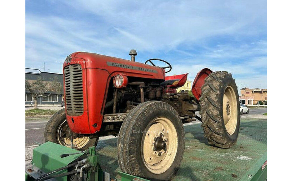 Massey Ferguson MF 35 Gebraucht - 1