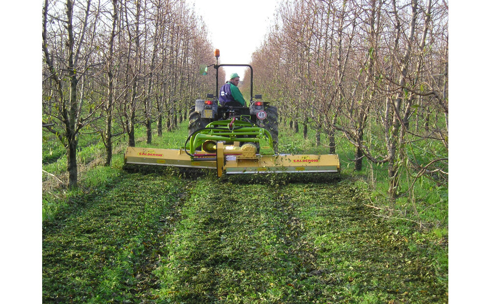 Zwischenreihenmulcher Expander Calderoni Neu - 1