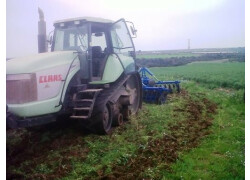 Challenger CHALLENGER CLAAS 55 Usato