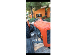 Massey Ferguson 135 Neu